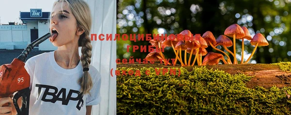 mix Горняк