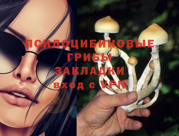 mix Горняк