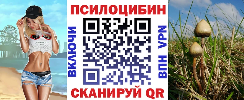 ссылка на мегу онион  Лесной  Галлюциногенные грибы Magic Shrooms  нарко площадка состав  где можно купить наркотик 